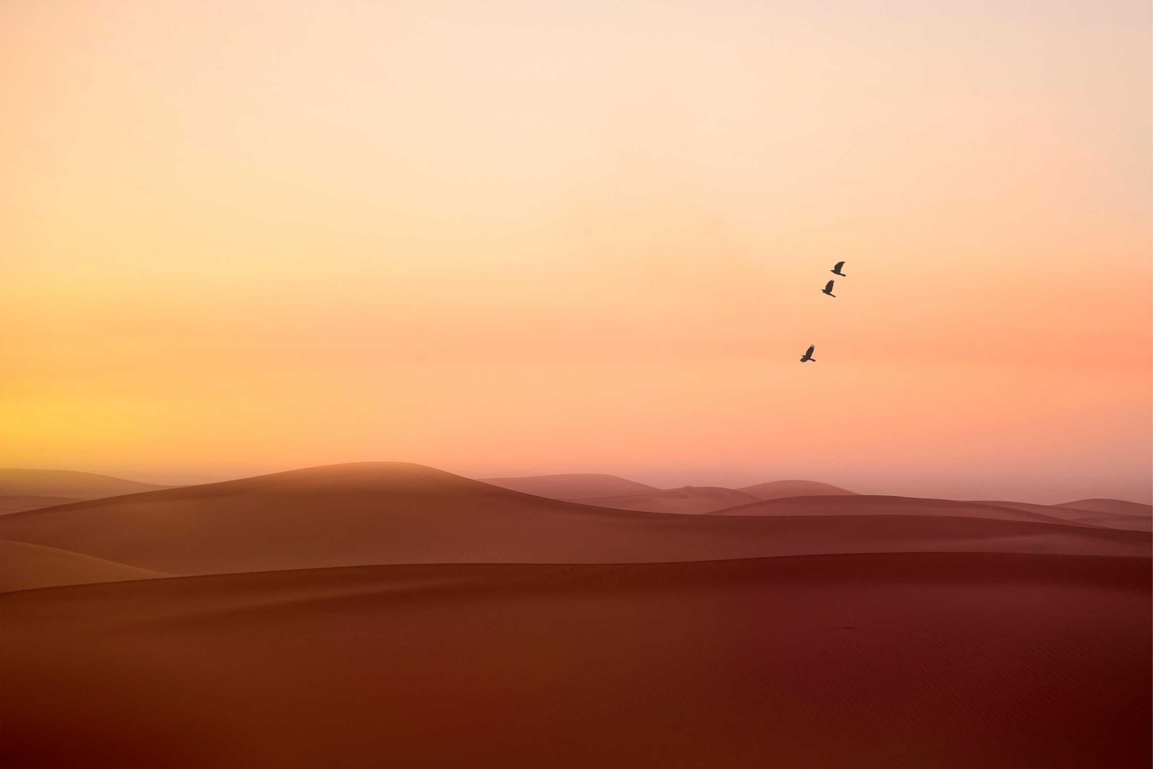 Dunes du désert dans la lumière du couchant